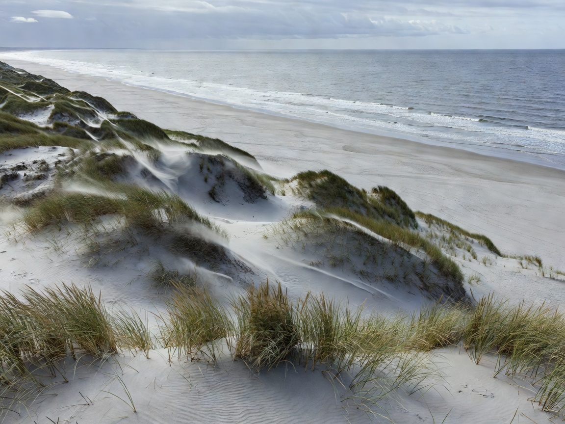 Dune landscape leading down to a broad Danish style sandy beach