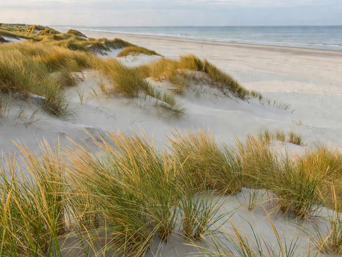 Wide northern European beach with dune grass and a calm grey-blue sea
