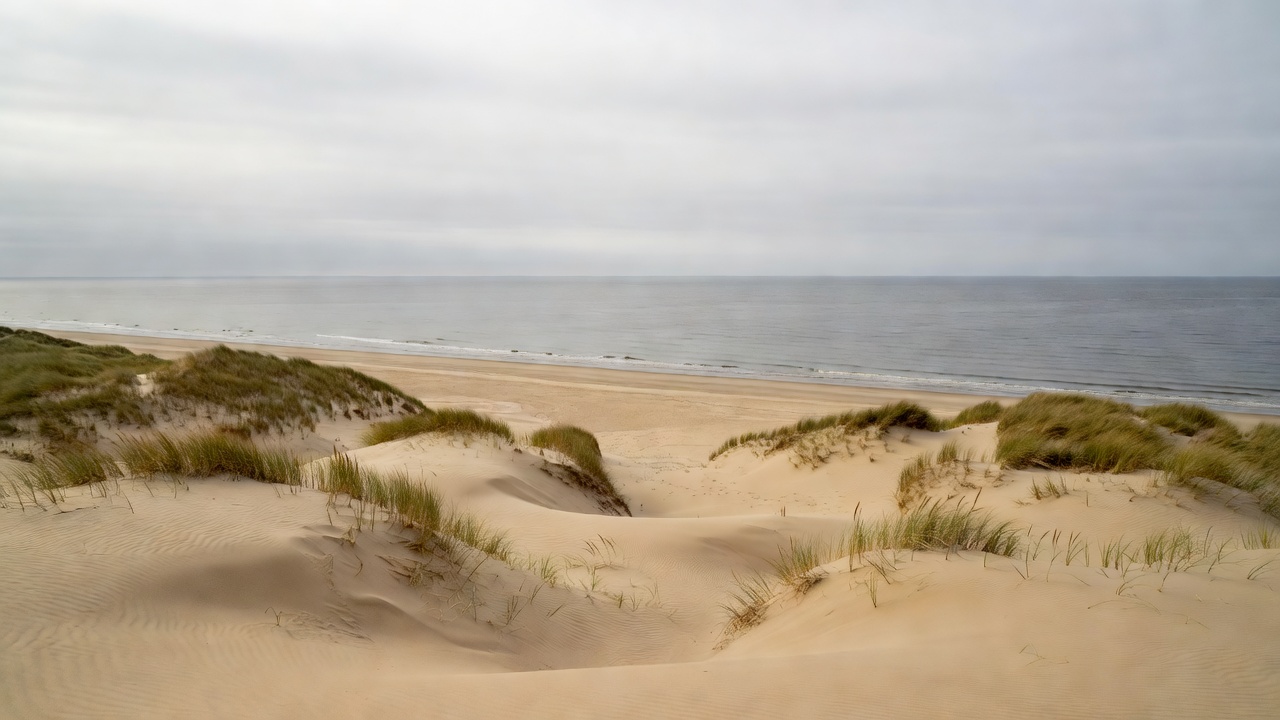Quiet dune landscape above a Danish style beach